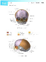 Sobotta Atlas of Human Anatomy  Head,Neck,Upper Limb Volume1 2006, page 53